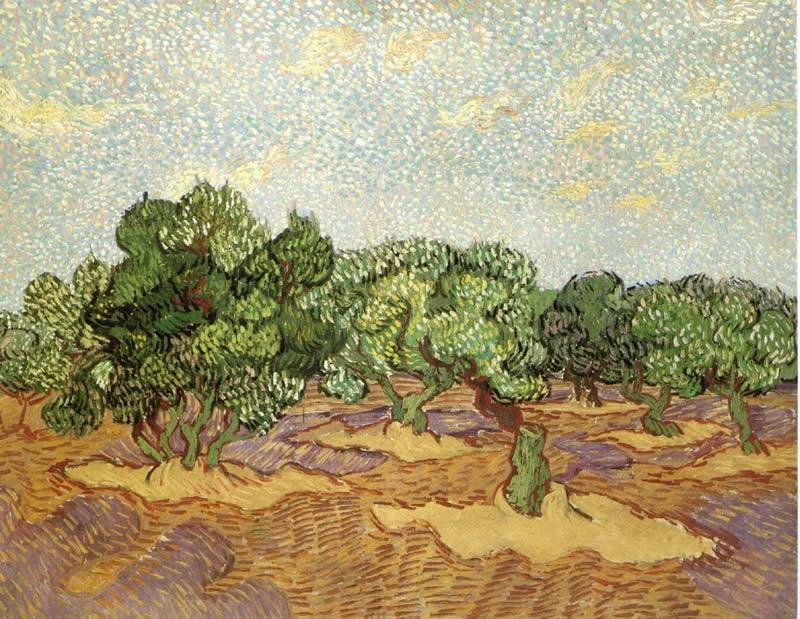 Vincent van Gogh Olive Grove II